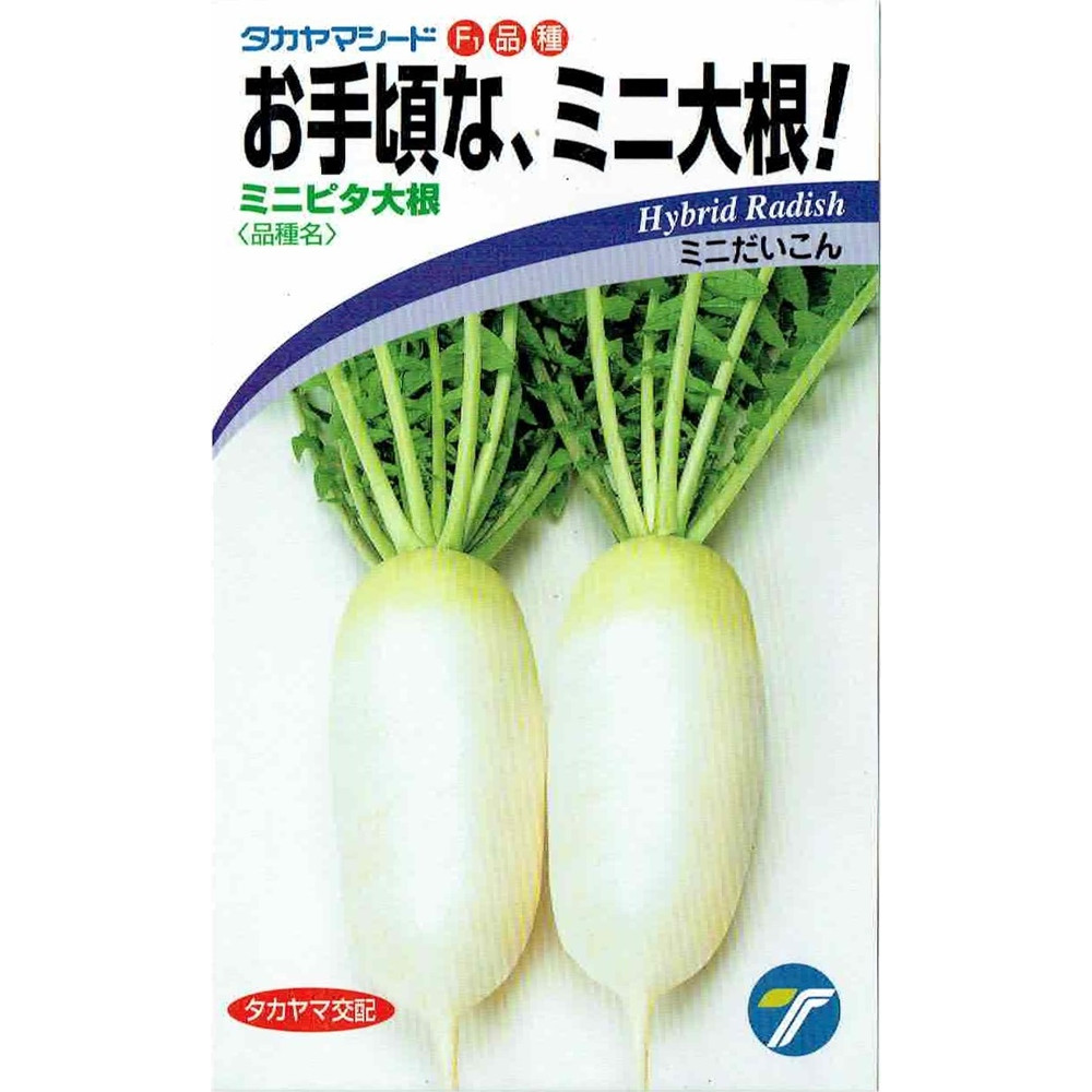 新商品 タカヤマシード ミニ大根 ミニピタ大根 日光種苗株式会社